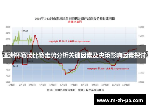 亚洲杯赛场比赛走势分析关键因素及决策影响因素探讨